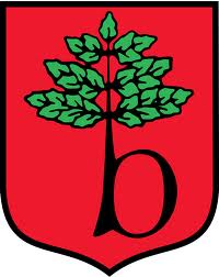 logo brwinow