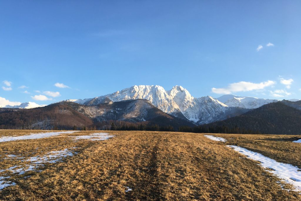 Nagroda Europa Nostra dla naszego projektu Tramontana !