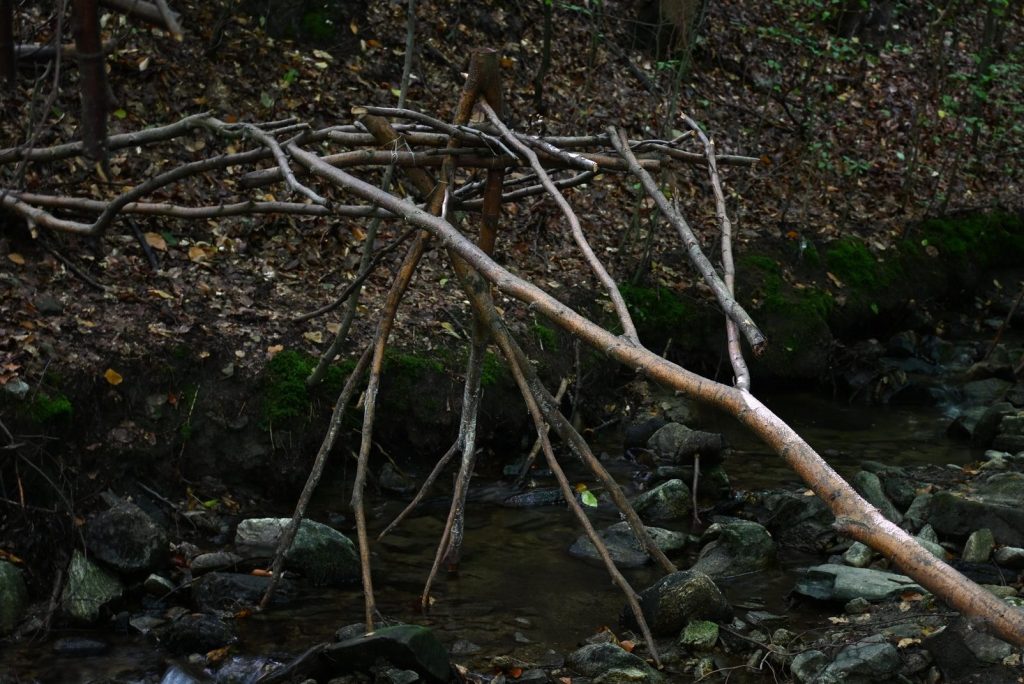 Artist Residencies in Central Sudetes